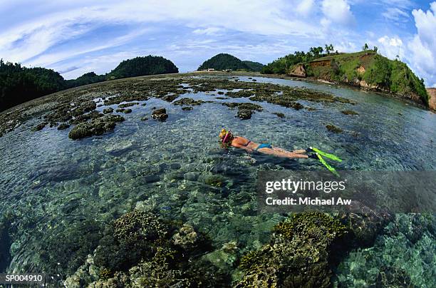 woman snorkeling around reef - インド太平洋 ストックフォトと画像