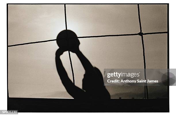 silhouette of volleyball serve - saint anthony stock pictures, royalty-free photos & images
