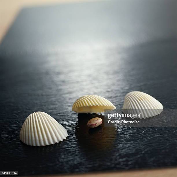 Scallop Shell Inlay 149 Black Scallop Shell Stock Photos, High-Res Pictures, and Images ...