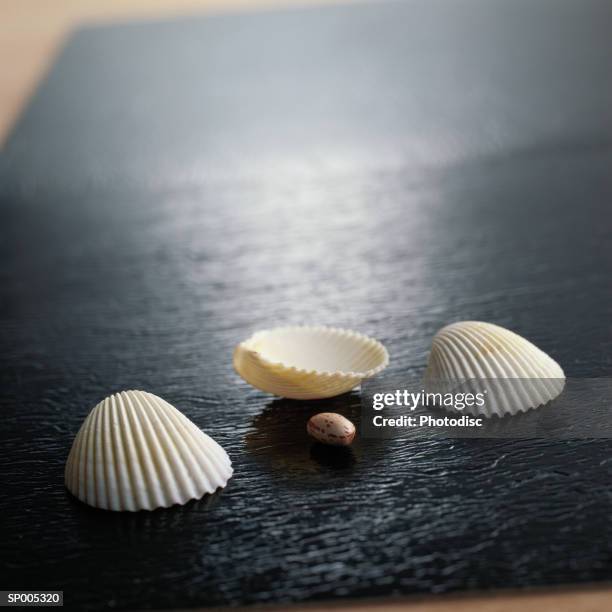 seashell game - shell game - fotografias e filmes do acervo