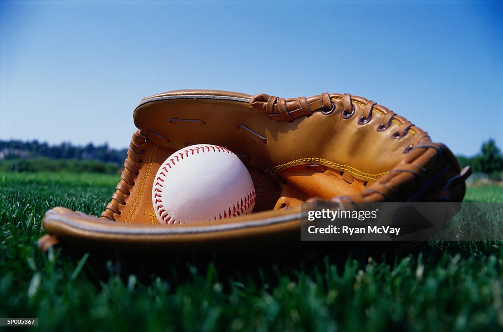 Baseball in a Glove