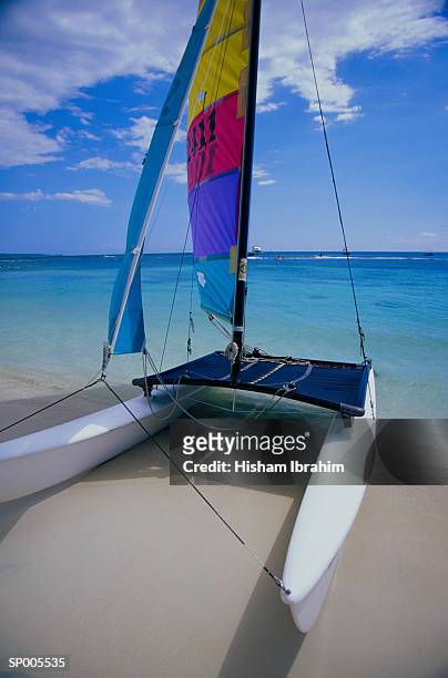 catamaran at the caribbean sea - greater antilles imagens e fotografias de stock
