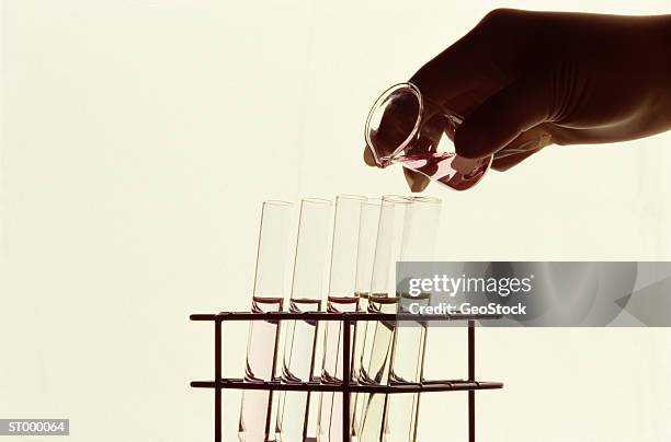 pouring from beaker into test tube - test tube rack stock pictures, royalty-free photos & images