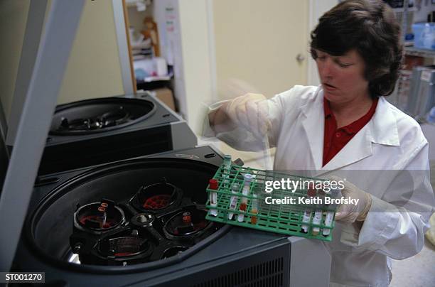 putting vials in refrigerator - reageerbuisrek stockfoto's en -beelden