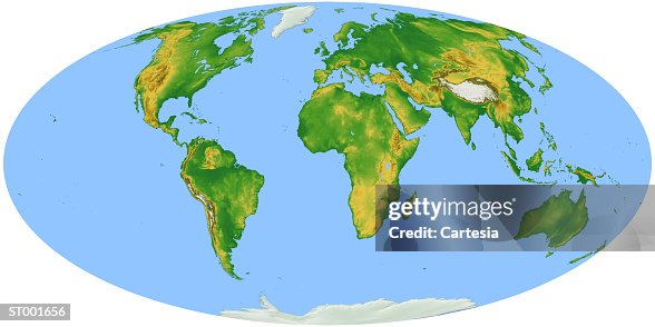 Vegetation Map -- Oval Projection Vegetation Map -- Oval Projection