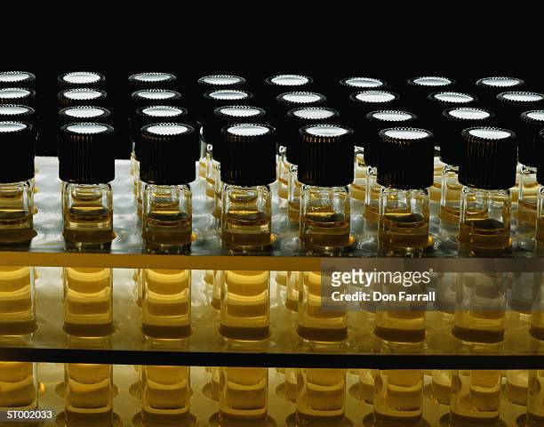 sample vials in rack - prateleira de tubos de ensaio imagens e fotografias de stock