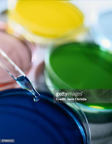 petri dishes - christie stock pictures, royalty-free photos & images