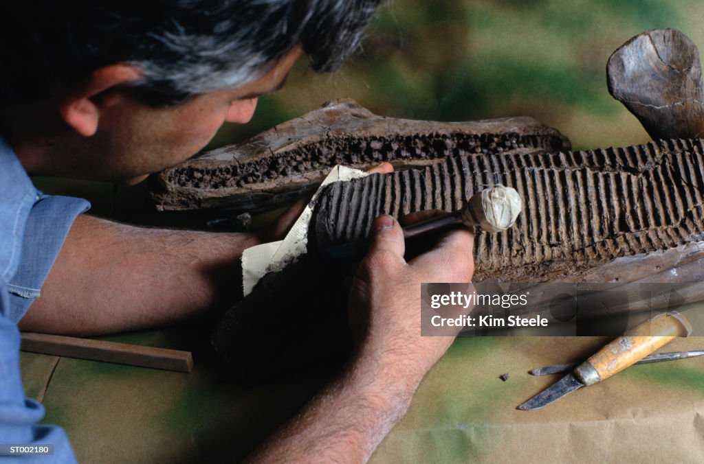 Archaeologist Carving Matrix from T. Rex Jaw