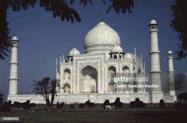 taj mahal - profile shoot of uttar pradesh shia central waqf board chairman sayeed wasim rizvi stockfoto's en -beelden