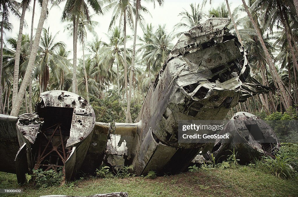 Aircraft Wreckage