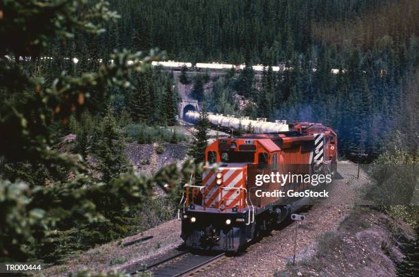 train - bahntunnel stock-fotos und bilder