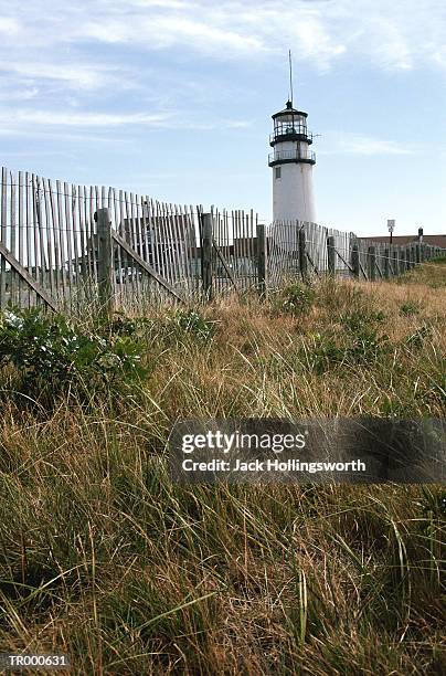 lighthouse and sea grass - jack and jack stock pictures, royalty-free photos & images
