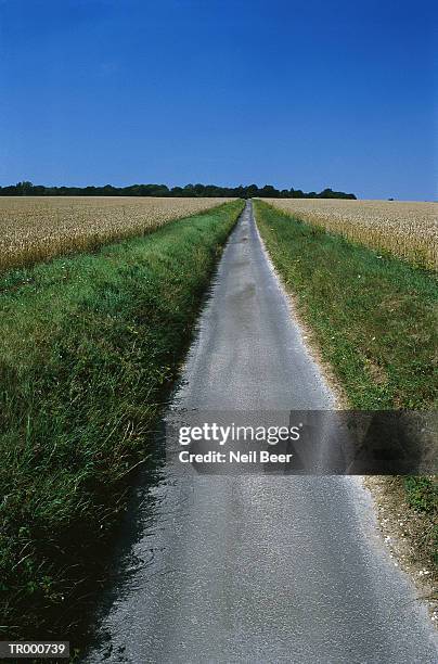 paved bike trail - grünstreifen stock-fotos und bilder