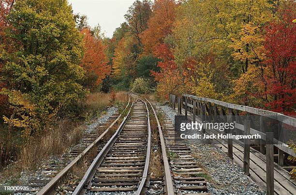 railroad tracks in the fall - kristin kreuk or sierra mccormick or autumn wendel or brenda song or allison munn or emil stock pictures, royalty-free photos & images