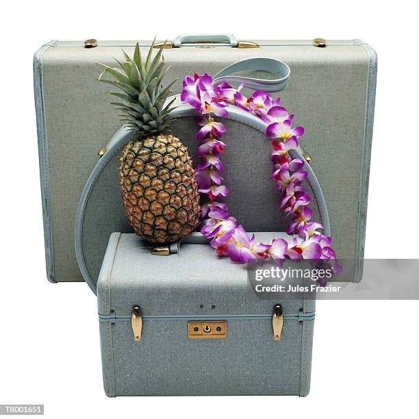 travel luggage and a pineapple - travel​ stock pictures, royalty-free photos & images