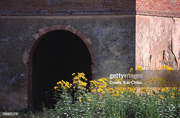 arch in a tuscan building - flor templada fotografías e imágenes de stock