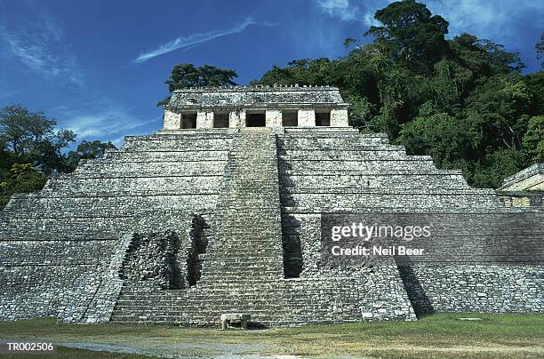 temple of inscriptions - palenque stock-fotos und bilder