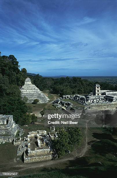 mayan ruins at palenque - neil stock pictures, royalty-free photos & images