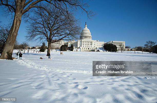 capitol building in the snow - members of parliament address the nation following new zealand general election stockfoto's en -beelden