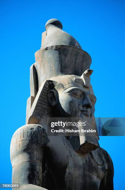 colossus of amenhotep iii - iii stock pictures, royalty-free photos & images