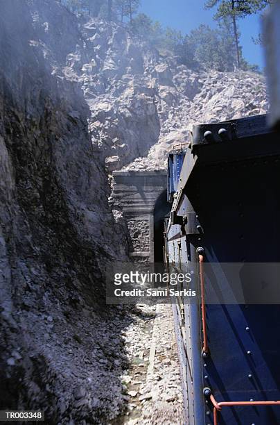 train entering tunnel - northern mexico stock pictures, royalty-free photos & images
