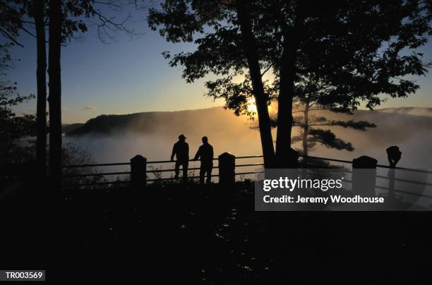 tourists in pennsylvania grand canyon - valley type stock pictures, royalty-free photos & images