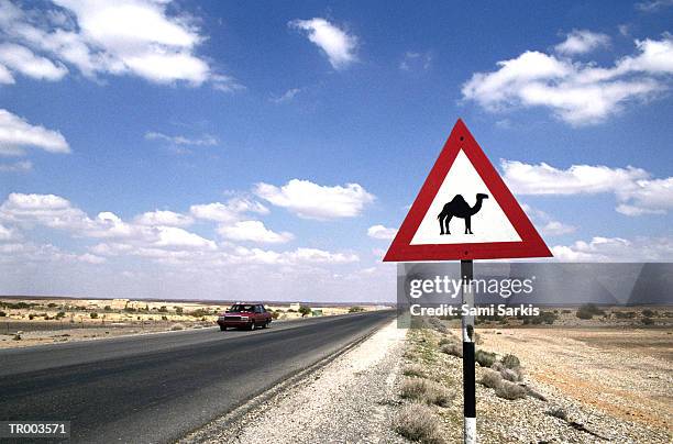 camel crossing - señal de paso de animales fotografías e imágenes de stock