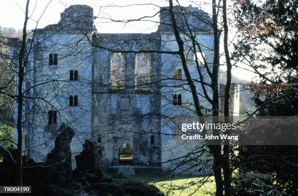 medieval castle - wange an wange stock pictures, royalty-free photos & images