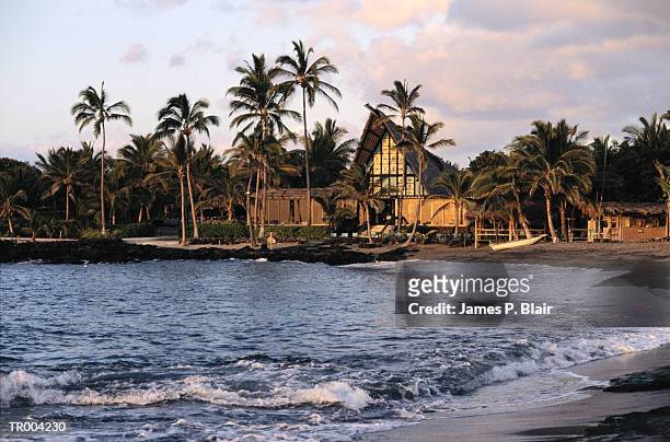 hawaiian resort - kona coast stockfoto's en -beelden