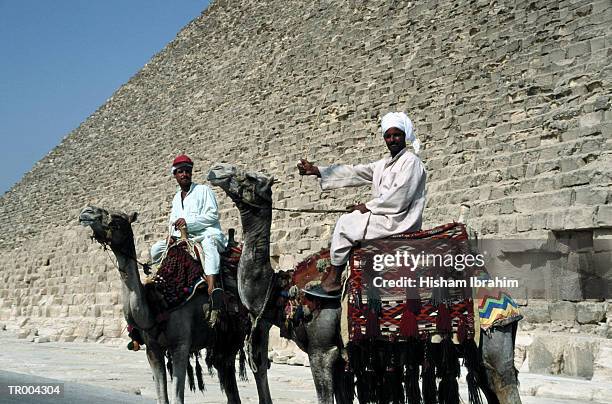 men riding camels by great pyramid - animale da lavoro foto e immagini stock