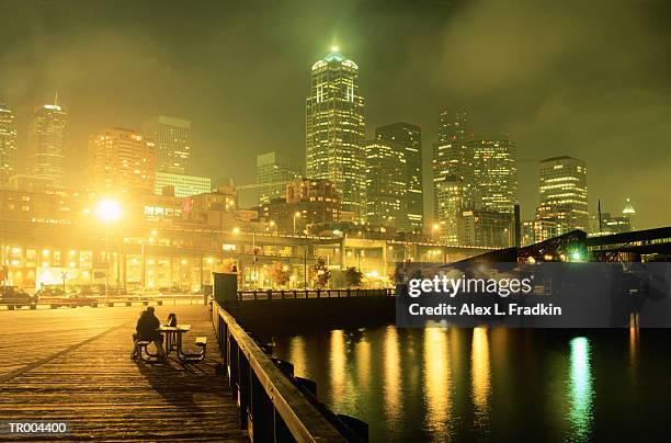 usa, washington, state, seattle, skyline from waterfront, night - state photos et images de collection