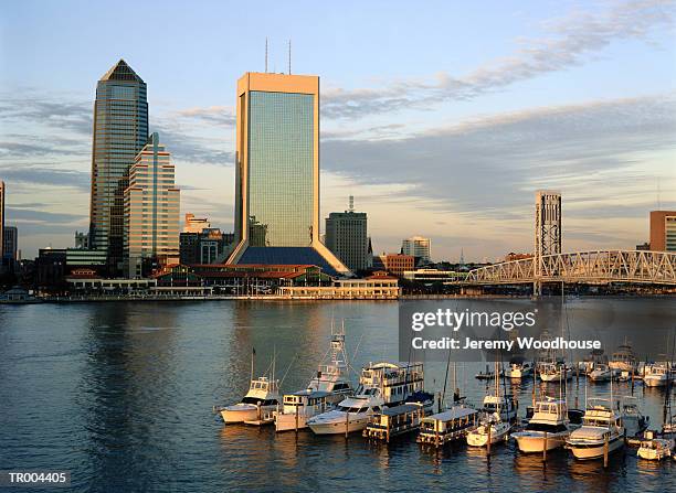 jacksonville waterfront and skyline - jacksonville florida skyline fotografías e imágenes de stock