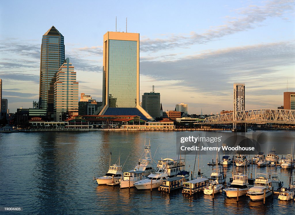 Jacksonville Waterfront and Skyline