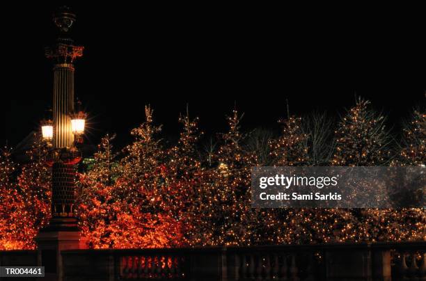 place de la concorde at christmas - paris rive droite photos et images de collection