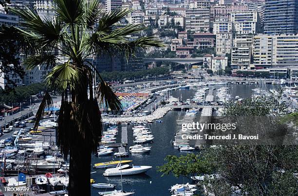 monte carlo bay - monte stock pictures, royalty-free photos & images