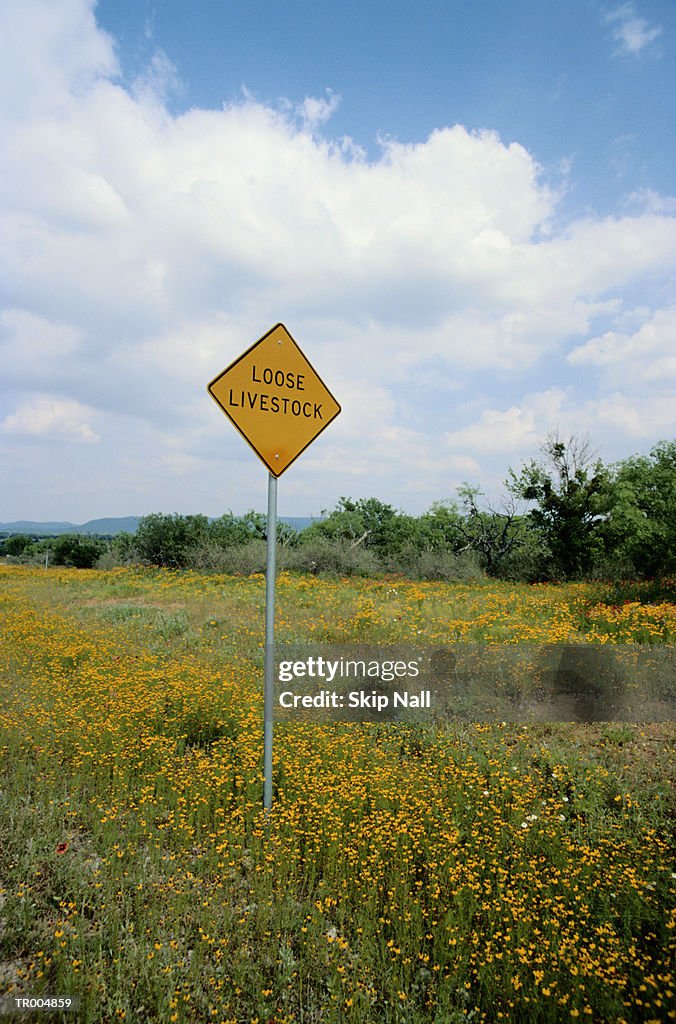 Loose Livestock Road Sign