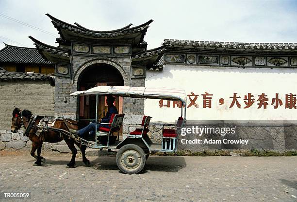 donkey cart - working animal stock pictures, royalty-free photos & images