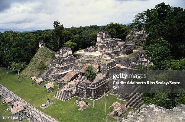 tikal - maya guatemala stock pictures, royalty-free photos & images