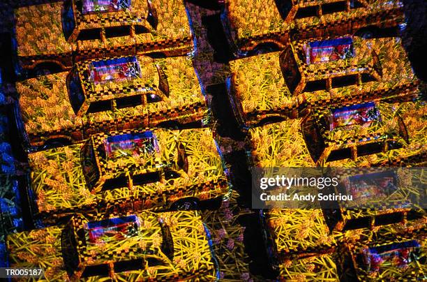 yellow cabs -- double exposure - the 8th annual elly awards hosted by the womens forum of new york arrivals stockfoto's en -beelden