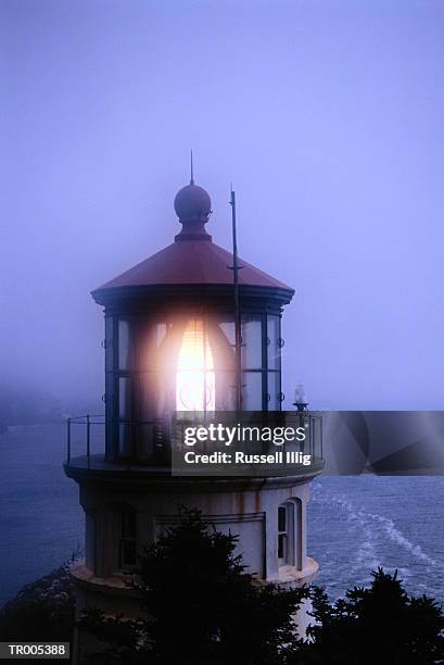 usa, oregon, heceta head lighthouse beacon shining, night - usa imagens e fotografias de stock