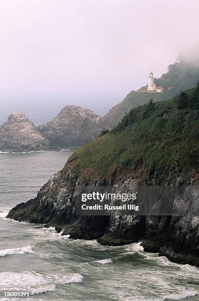 heceta head lighthouse - flora condition stock pictures, royalty-free photos & images