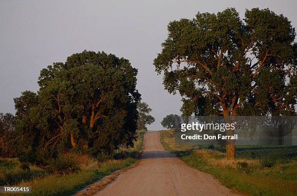 road - don farrall stock pictures, royalty-free photos & images