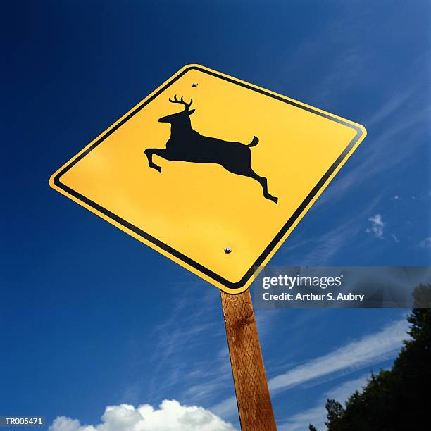 deer crossing sign - deer crossing stock pictures, royalty-free photos & images