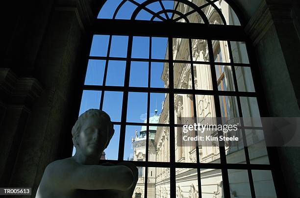 statue and window, belvedere palace, vienna - centro di vienna foto e immagini stock