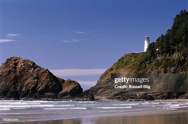 heceta head lighthouse - heceta head stock pictures, royalty-free photos & images