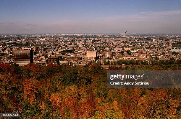 autumn in montreal - kristin kreuk or sierra mccormick or autumn wendel or brenda song or allison munn or emil stock pictures, royalty-free photos & images