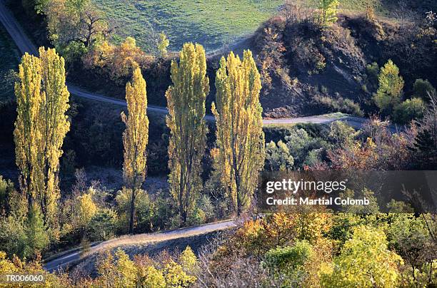 road in the french countryside - awareness film festival opening night premiere of the road to yulin and beyond arrivals stockfoto's en -beelden