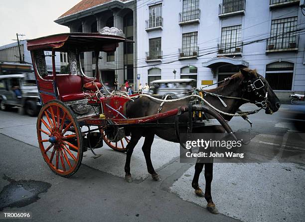 horse drawn carriage - wang he 個照片及圖片檔