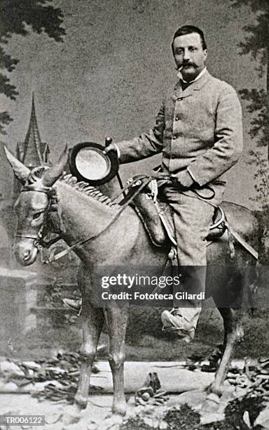 man on mule - animale da lavoro foto e immagini stock