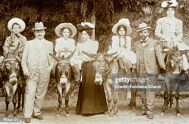 families on mules - werkdier stockfoto's en -beelden